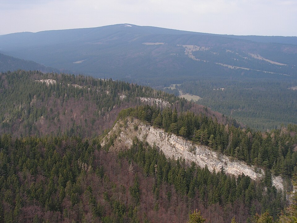 Skorušina