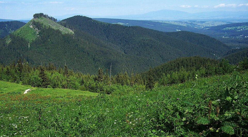Pośrednia Kopka