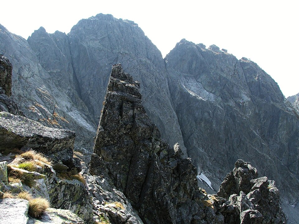 Czarny Mniszek