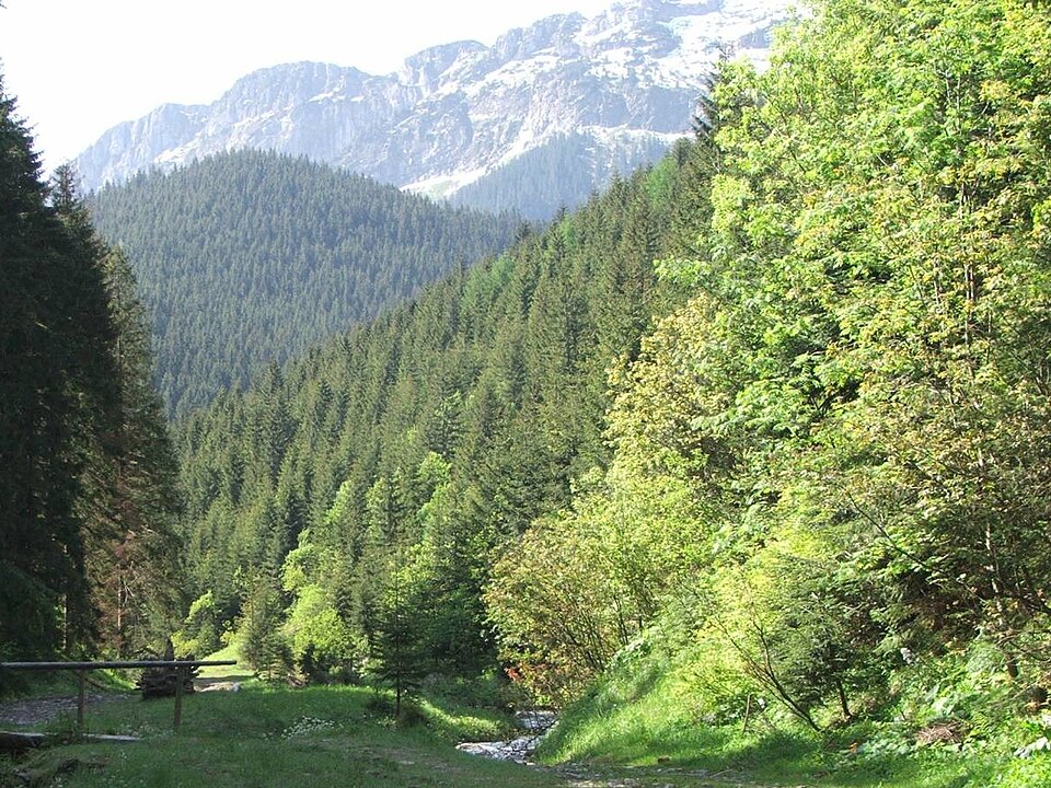 Dolina Lejowa