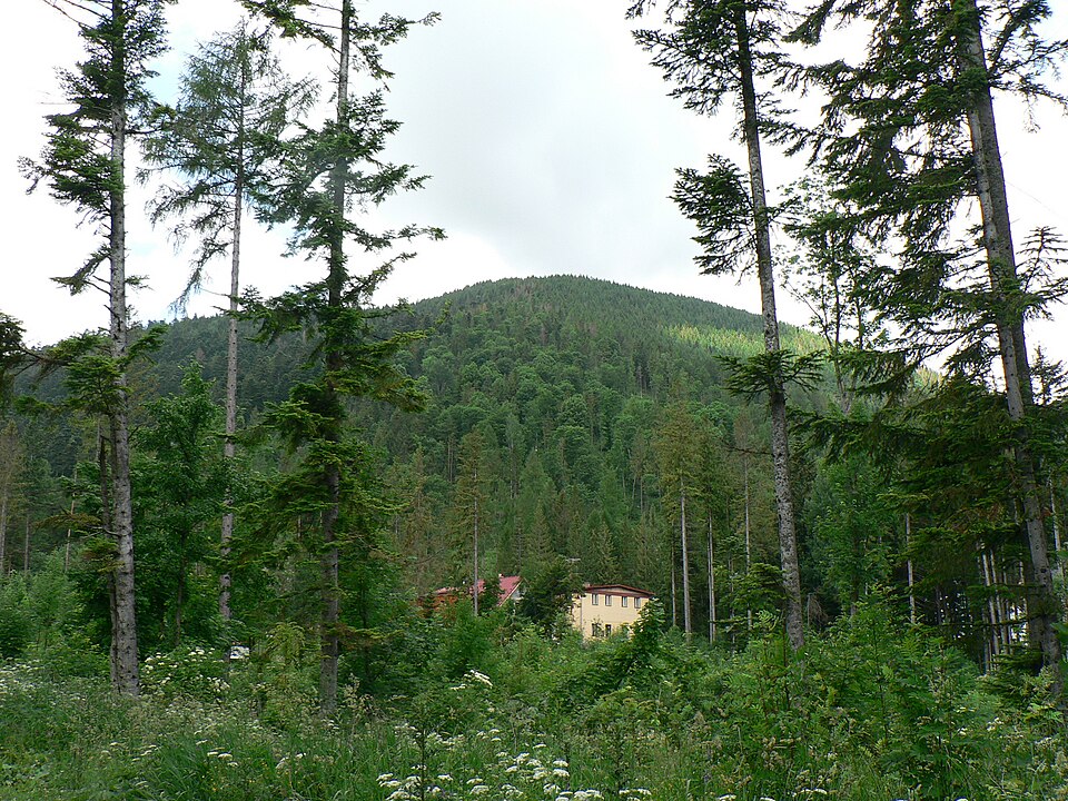 Kobylí vrch