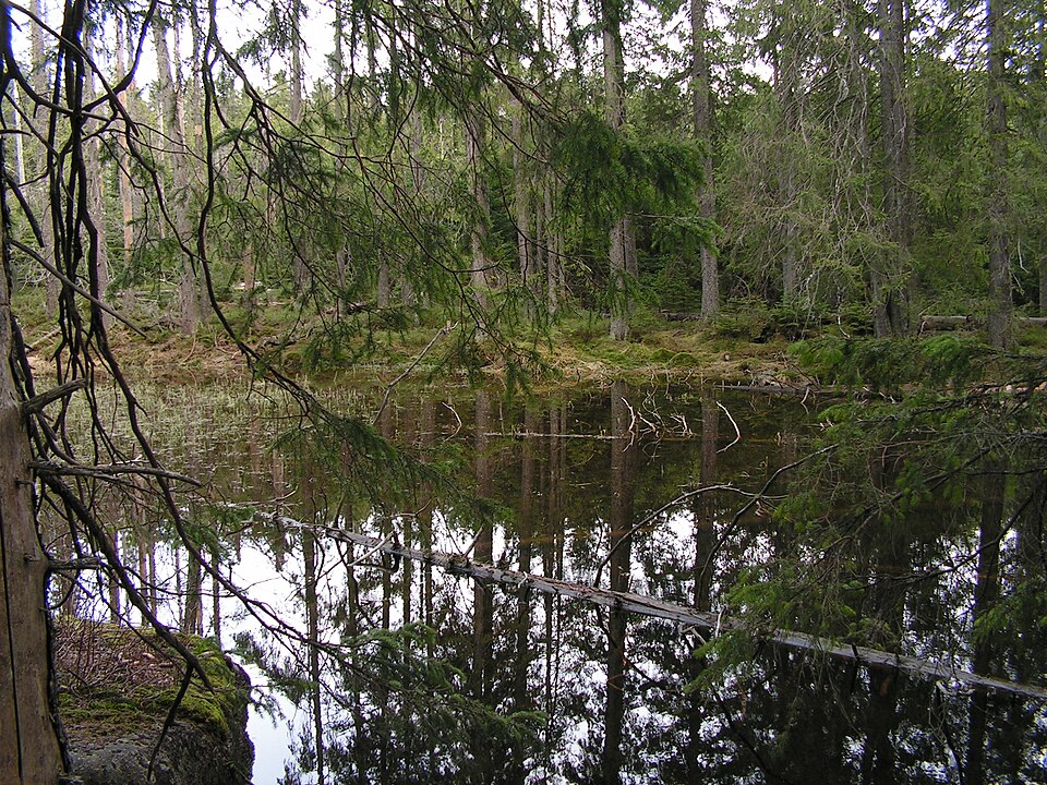 Wołoszyński Stawek