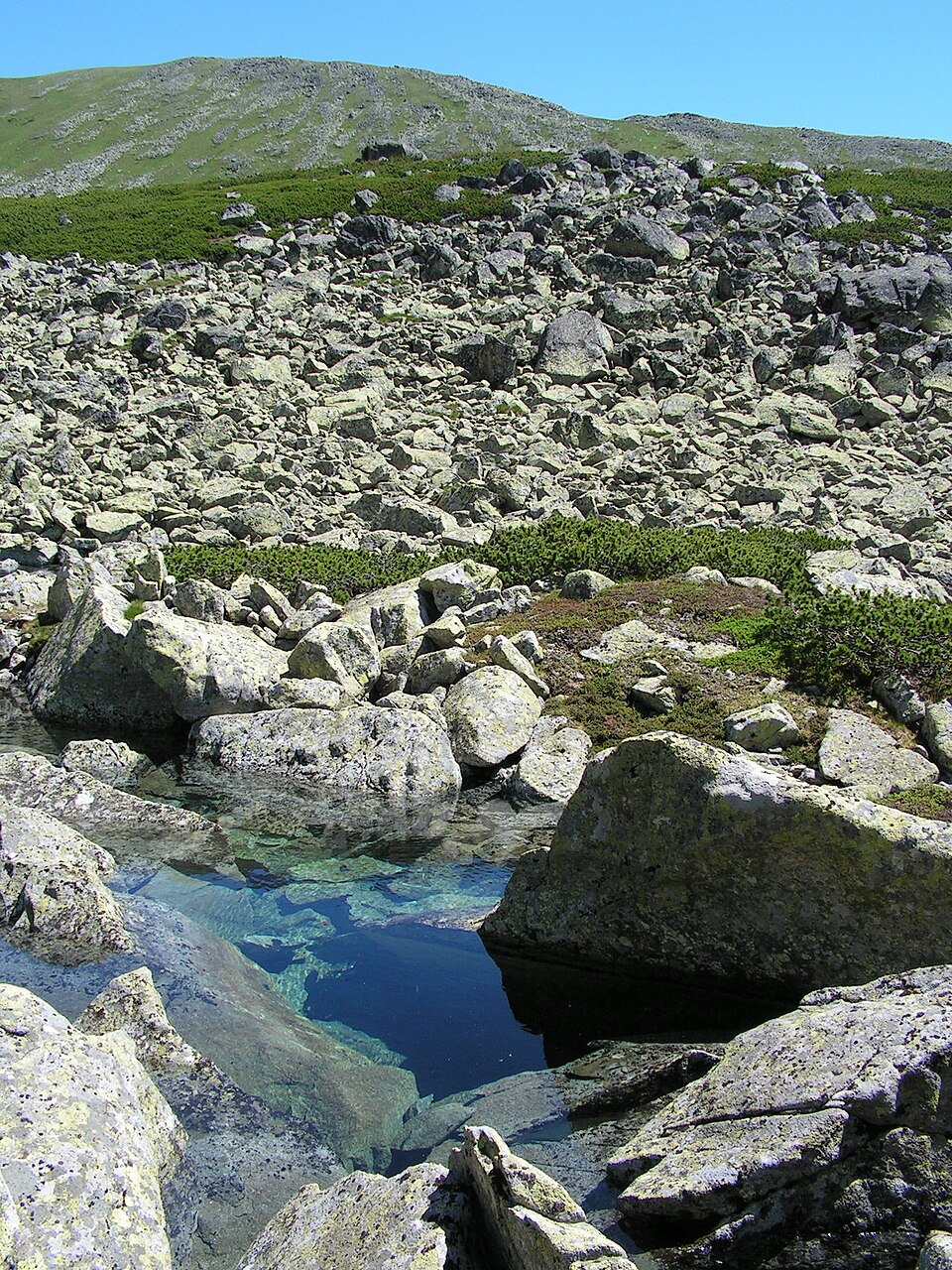 Stratené pliesko