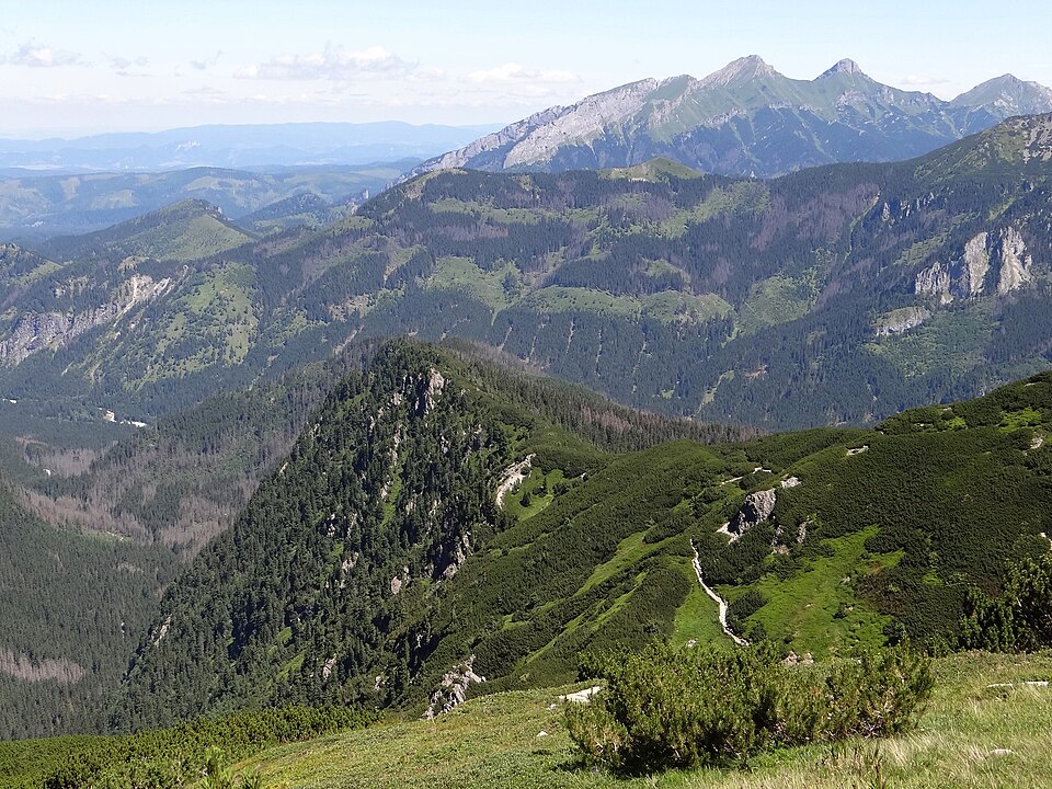 Czuba nad Uboczą