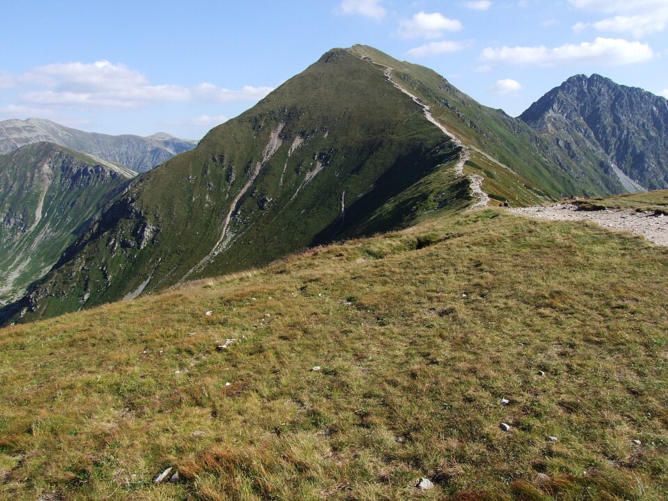 Zawracie
