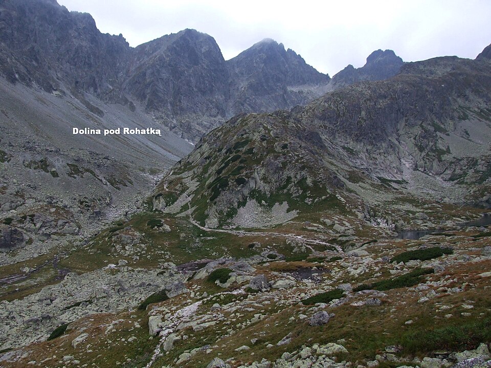Kupola