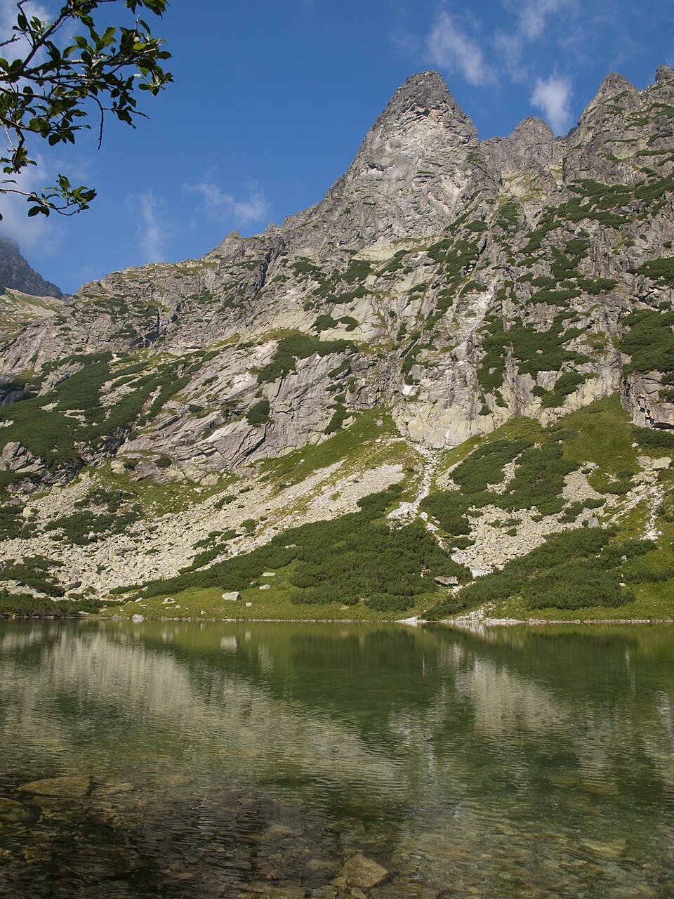 Mlynárove Vidly