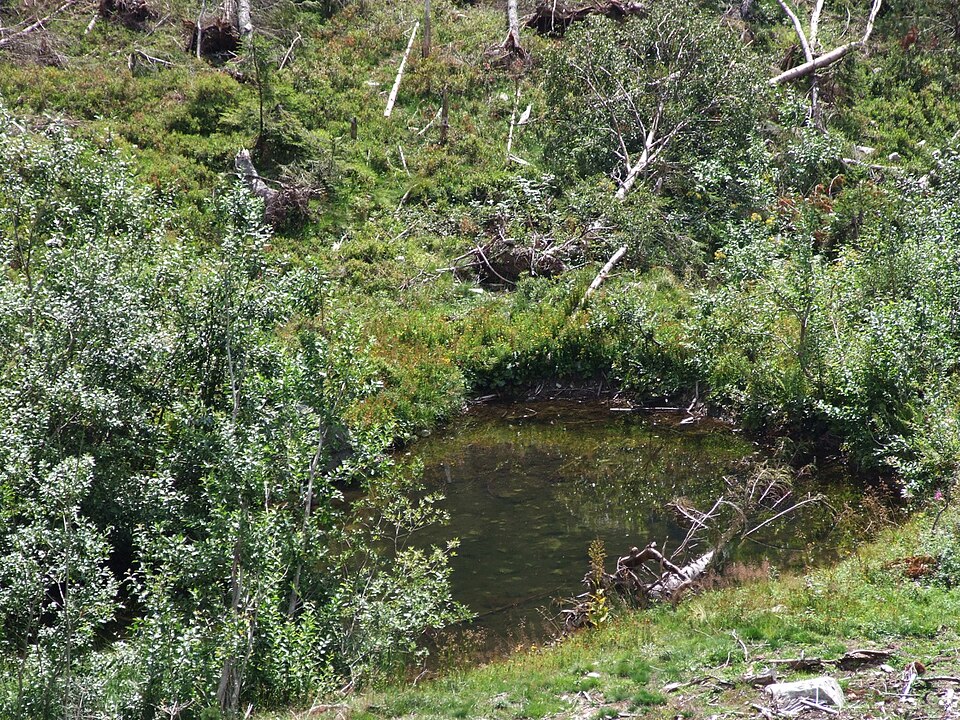 Žiarske pleso