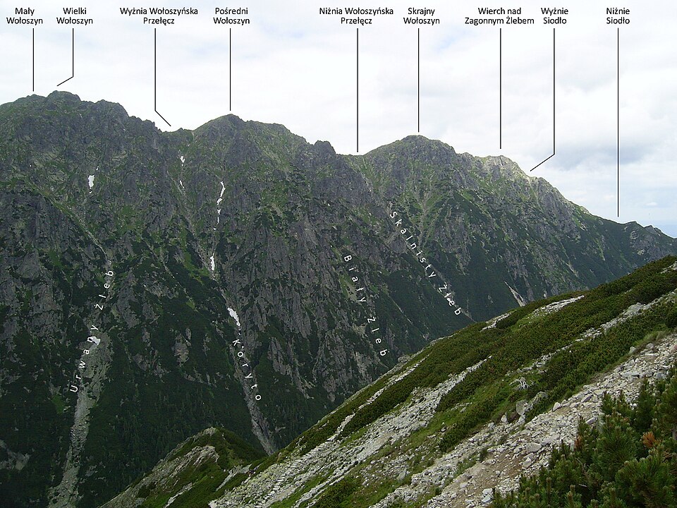Wierch nad Zagonnym Żlebem
