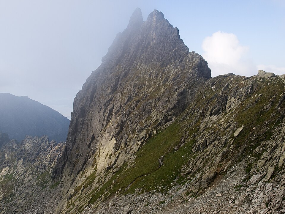 Veľká dračia hlava