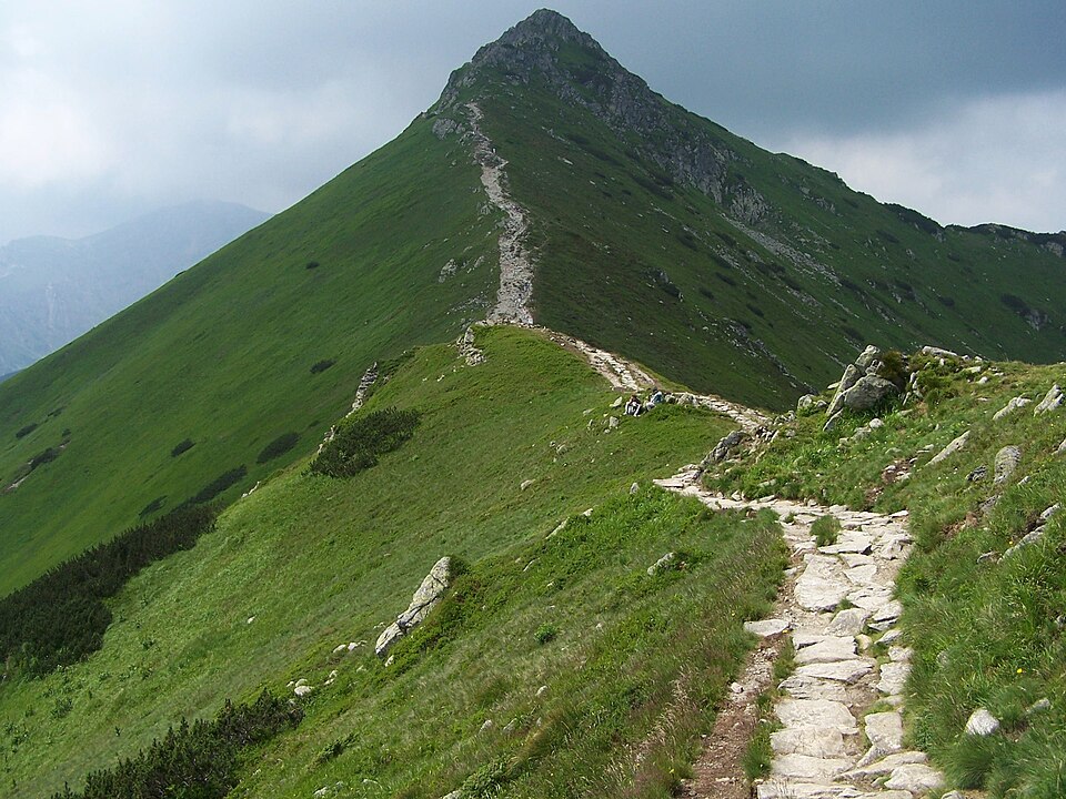 Goryczkowa Przełęcz Świńska