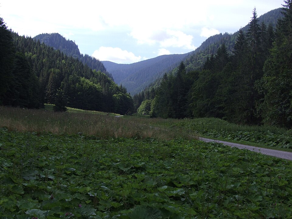 Bobrovecka dolina