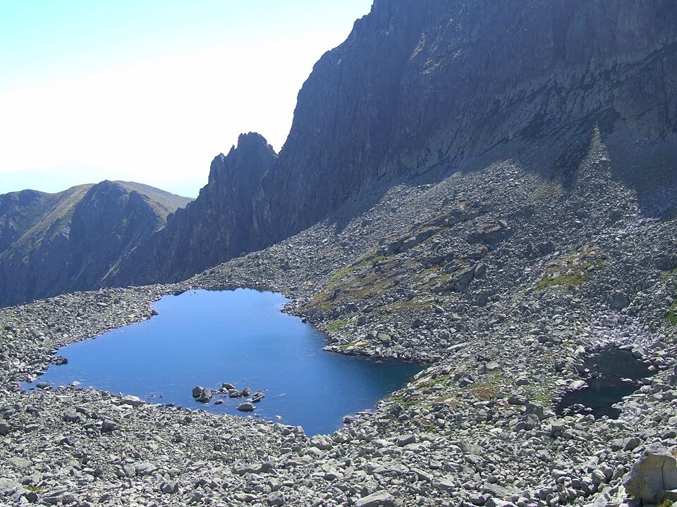 Soliskové pliesko