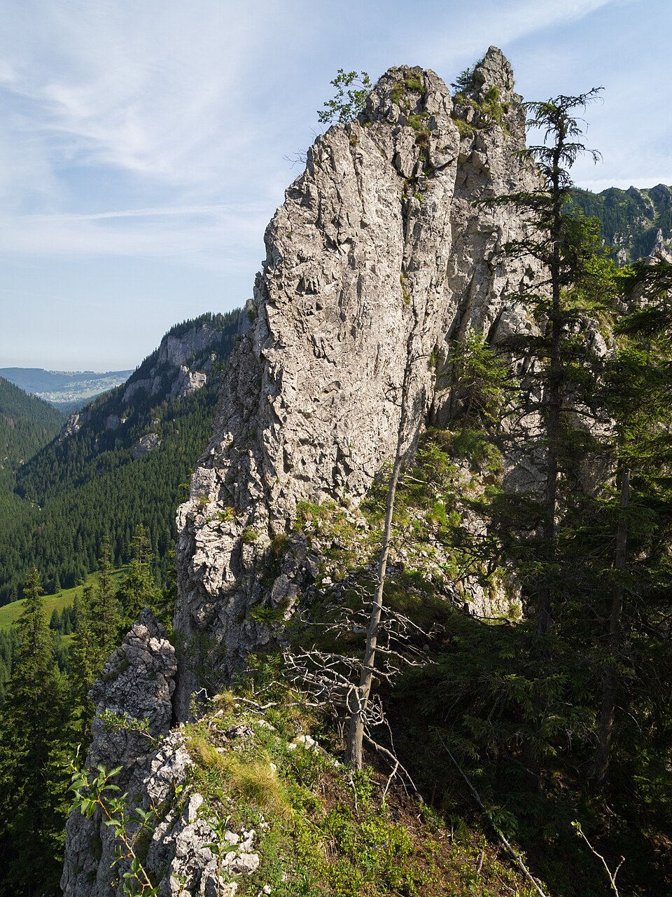 Zbójnicka Igła