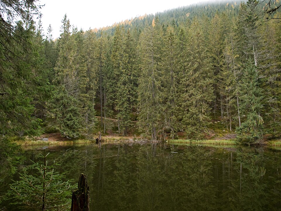 Pleso pod Zverovkou