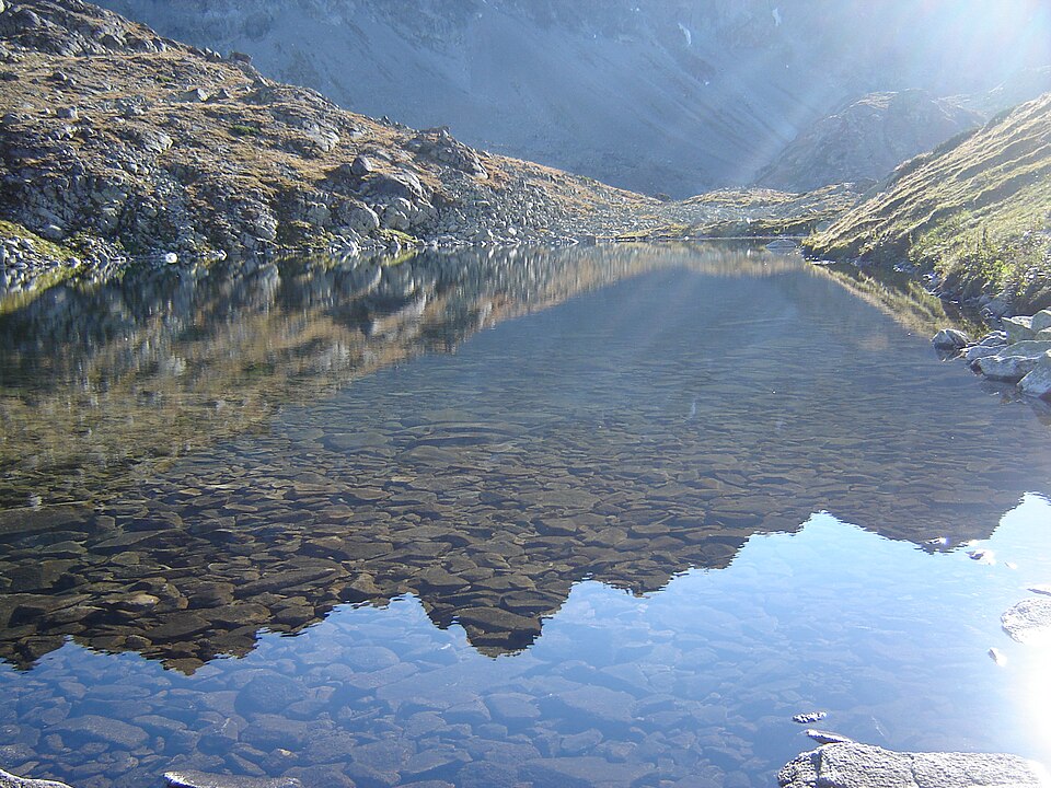 Starolesnianske pleso