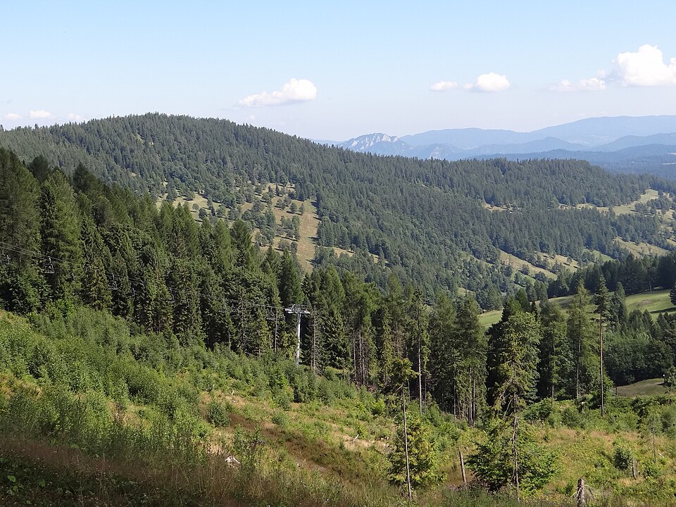 Plešný vrch