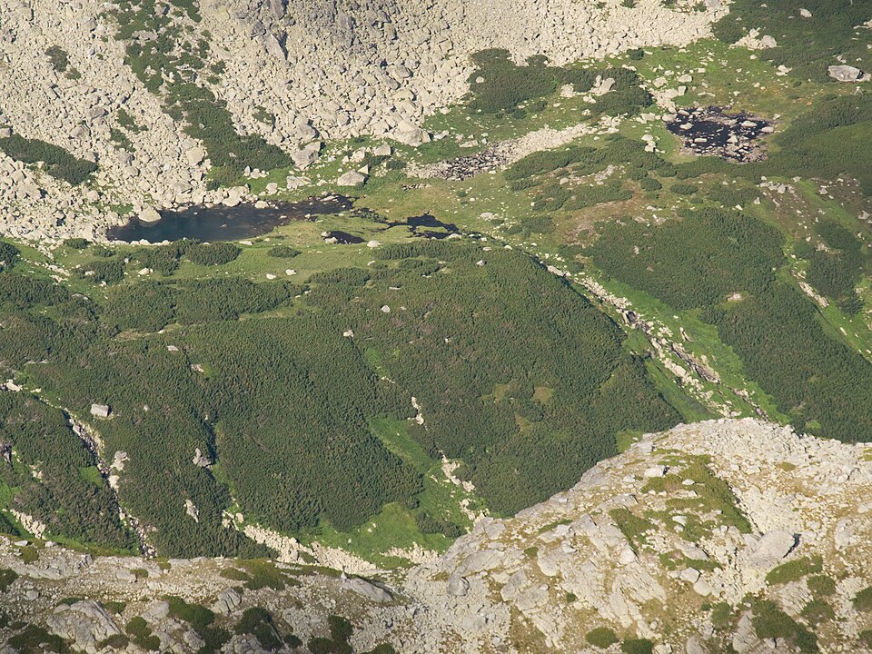 Vyšné studené pleso