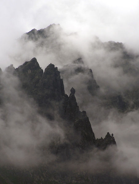 Żabi Mnich