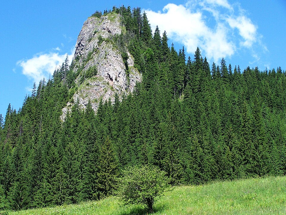 Zawiesista Turnia