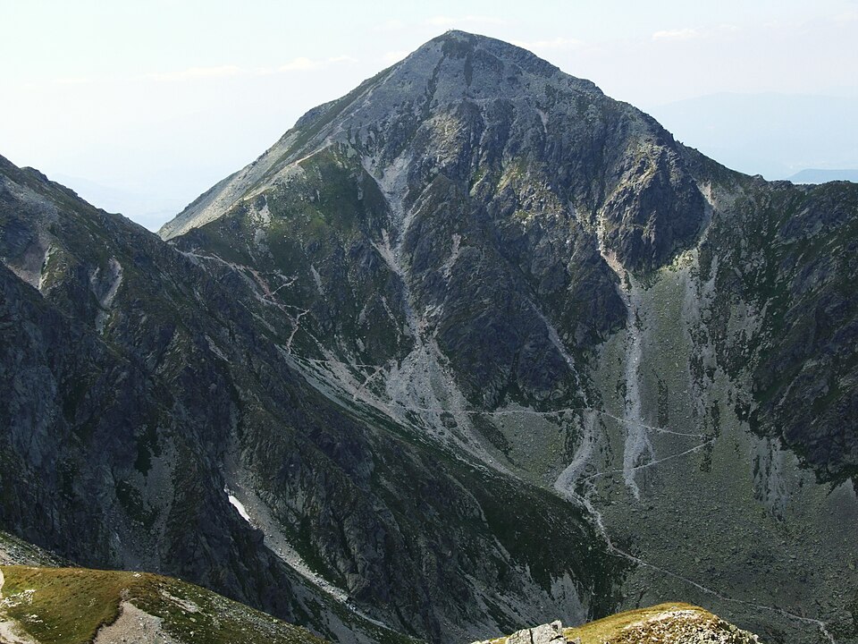 Pachoľa