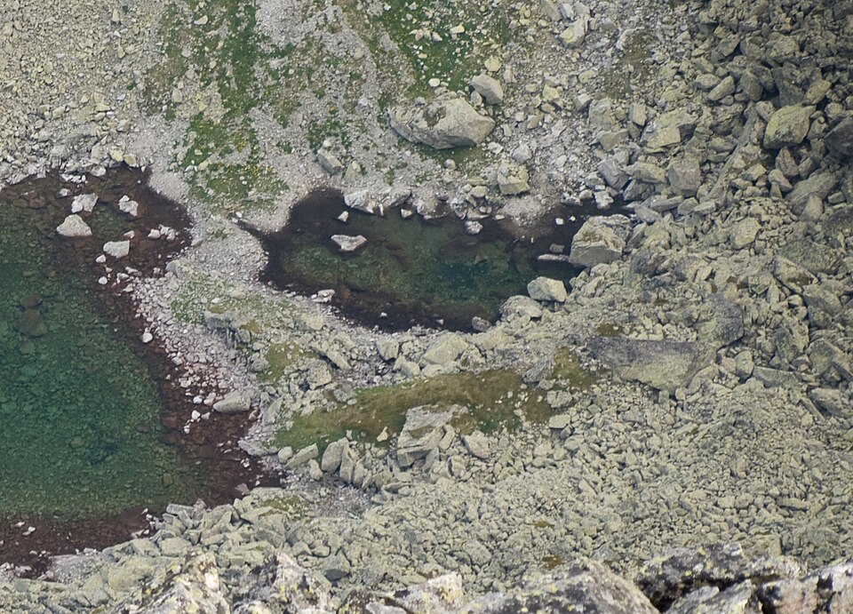 Malé Szontaghovo pliesko