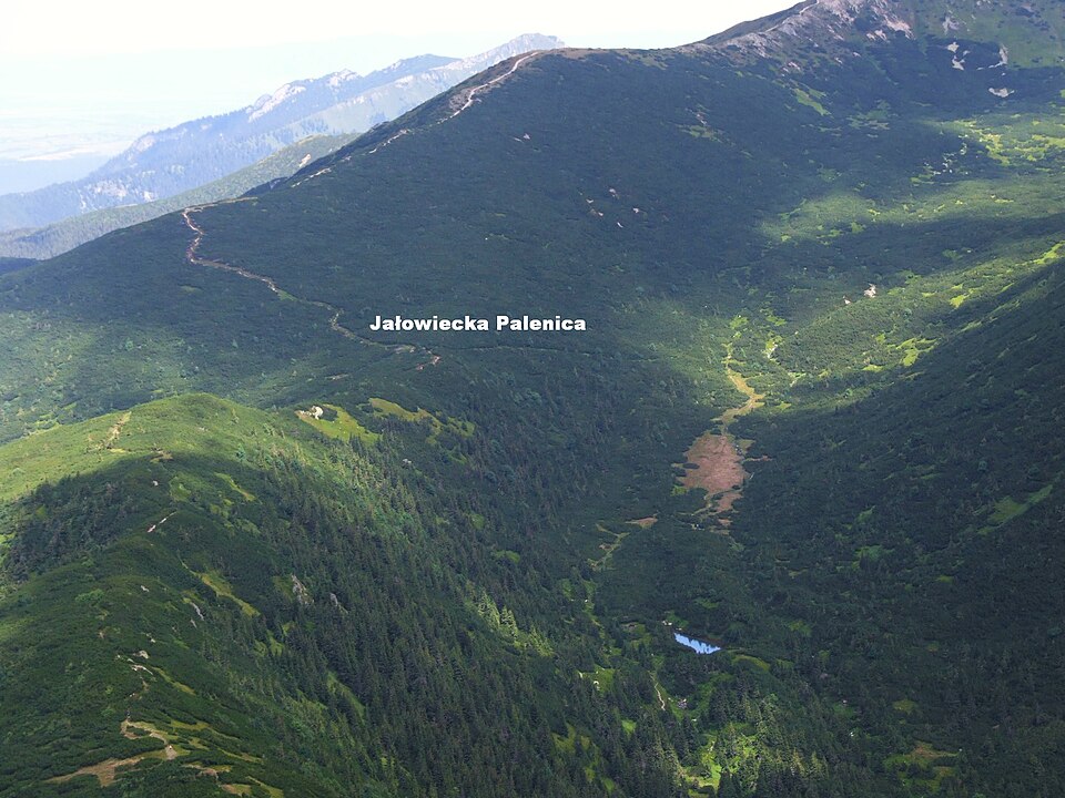 Palenica Jałowiecka
