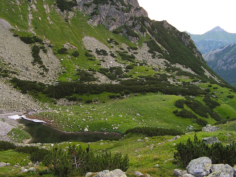Žabia Javorová dolina