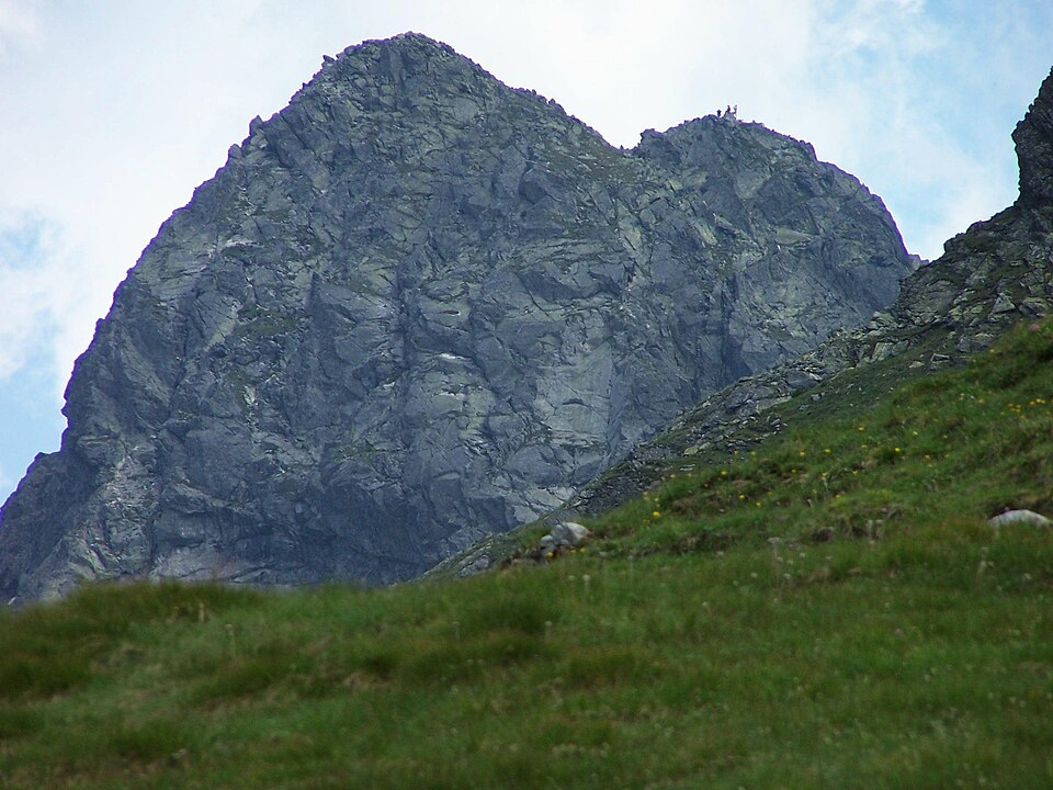 Świnica