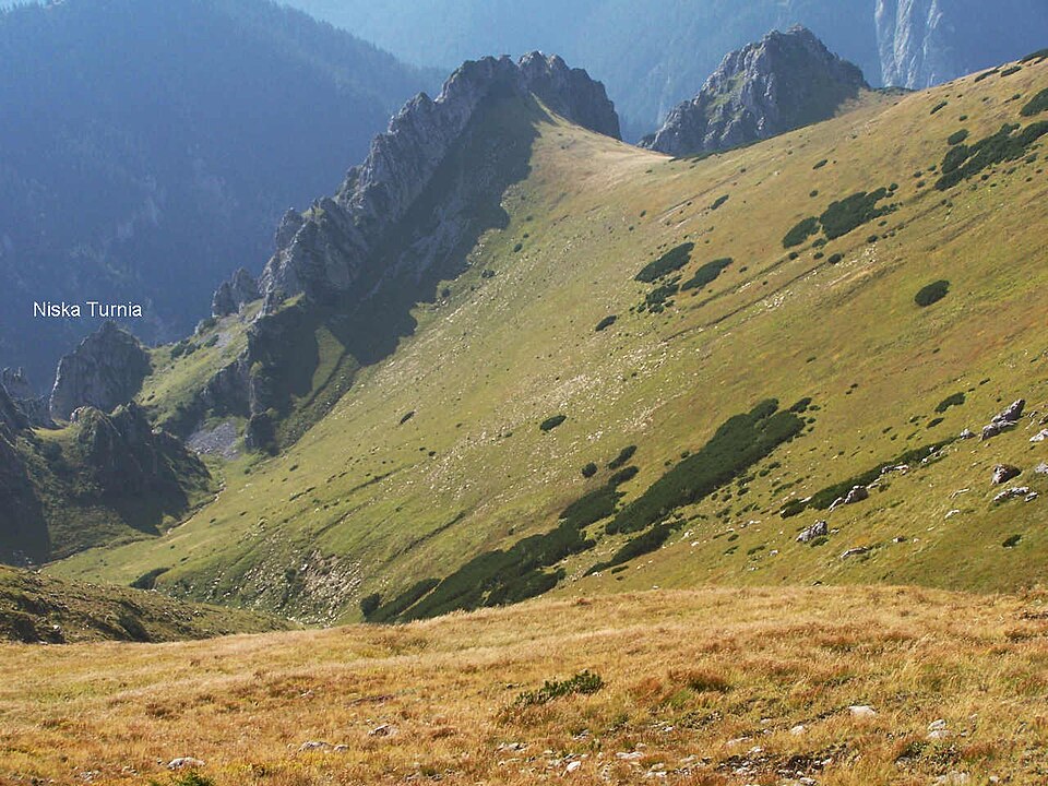 Niska Turnia