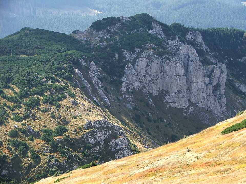 Niedźwiedź