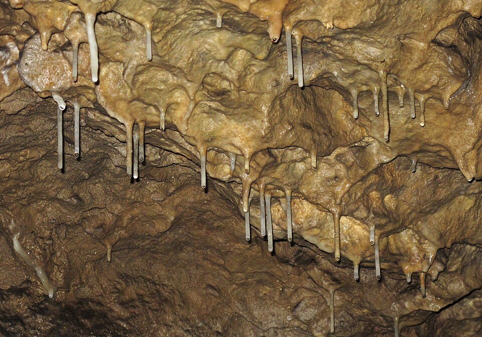 Brestovská jaskyňa