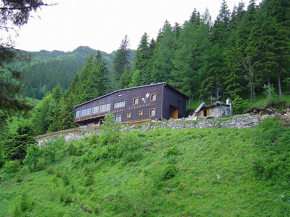 Plesnivec