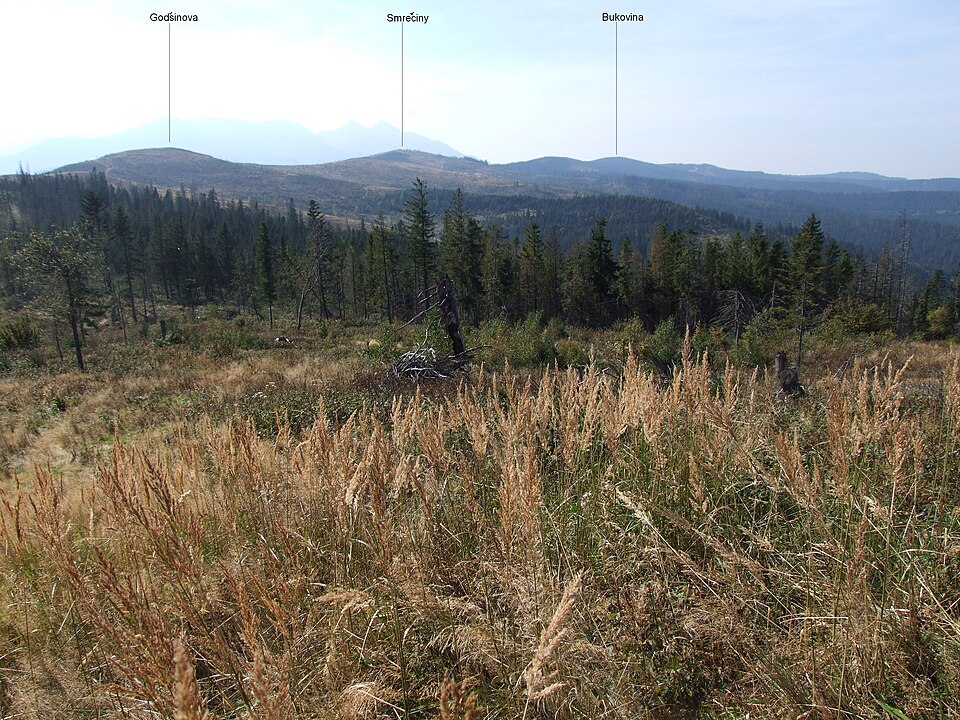 Bukovina