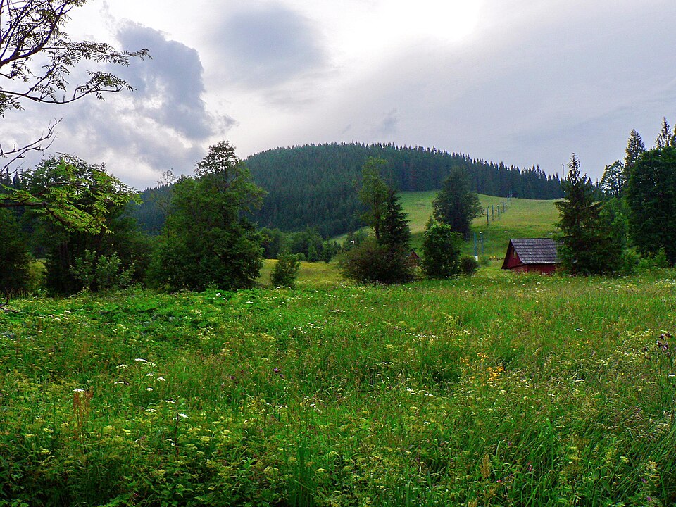 Dolina Bieleho potoka