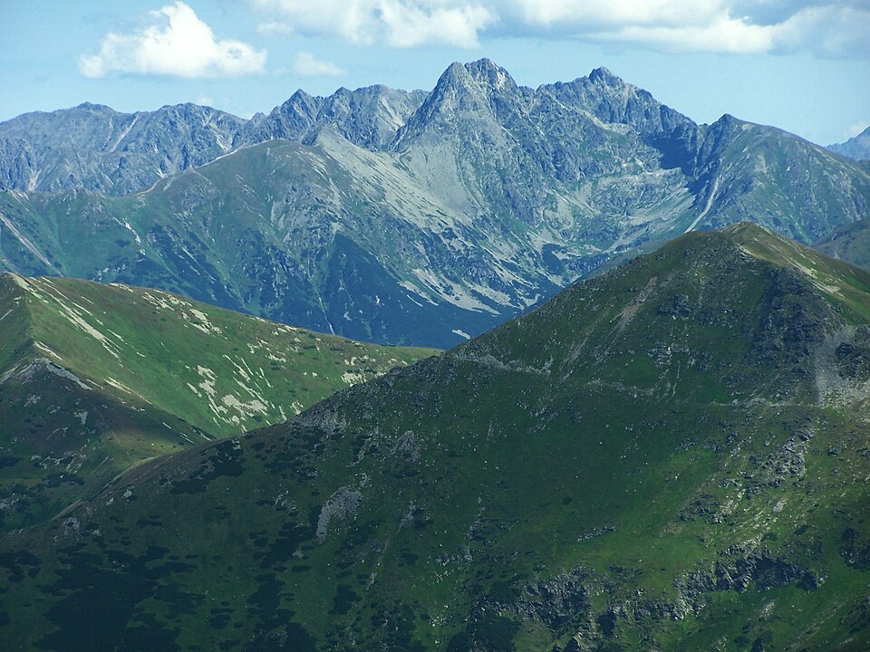 Liliowe