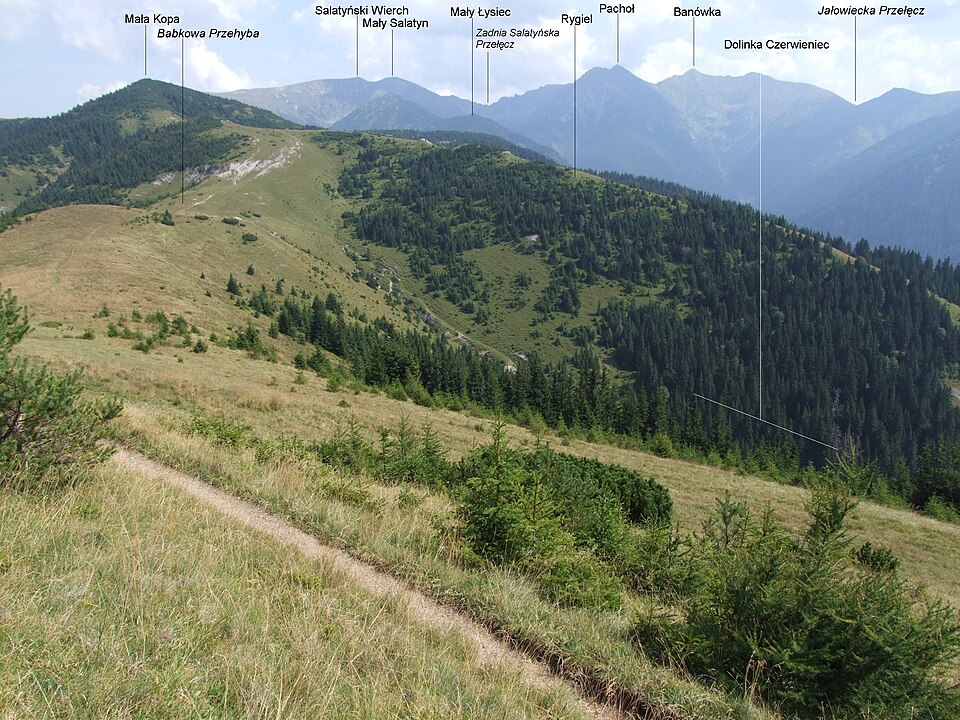 Babková priehyba