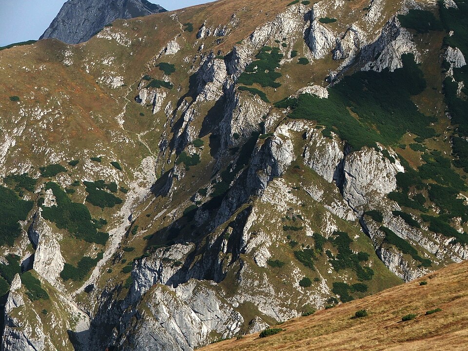 Kobylarzowy Żleb