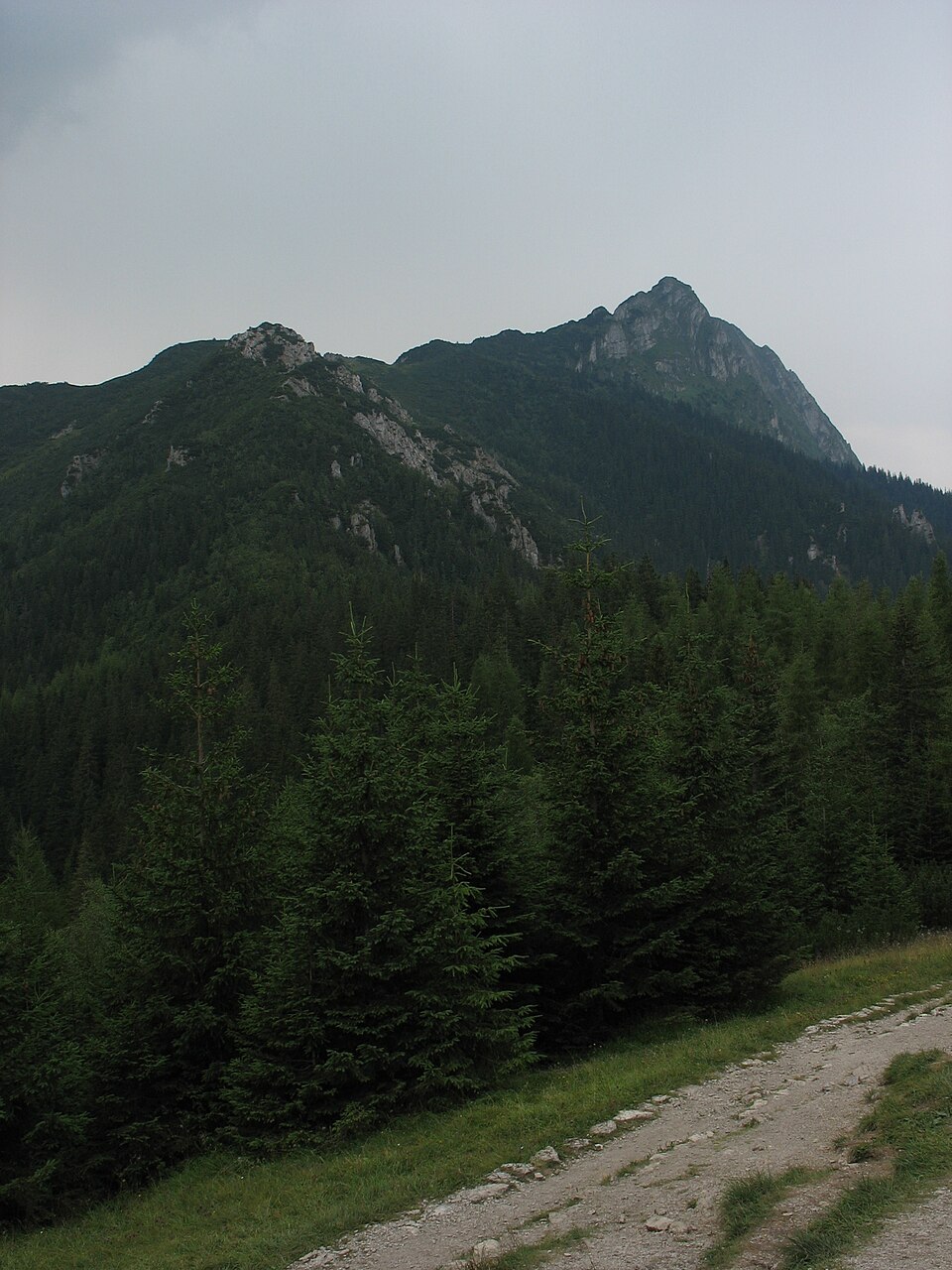 Przełęcz Białego