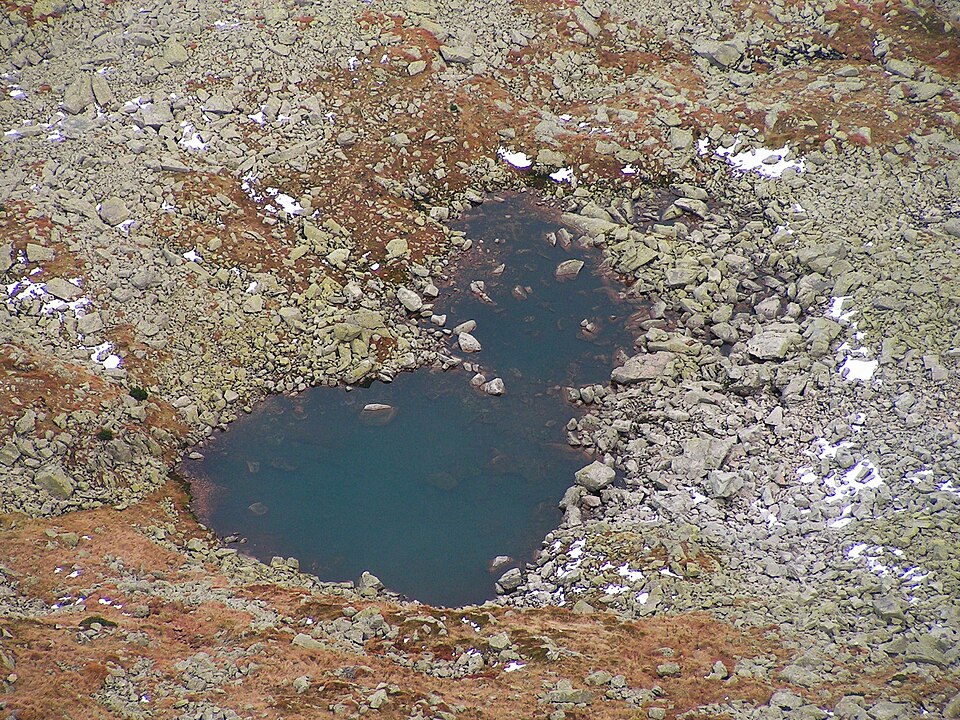Žlté pleso