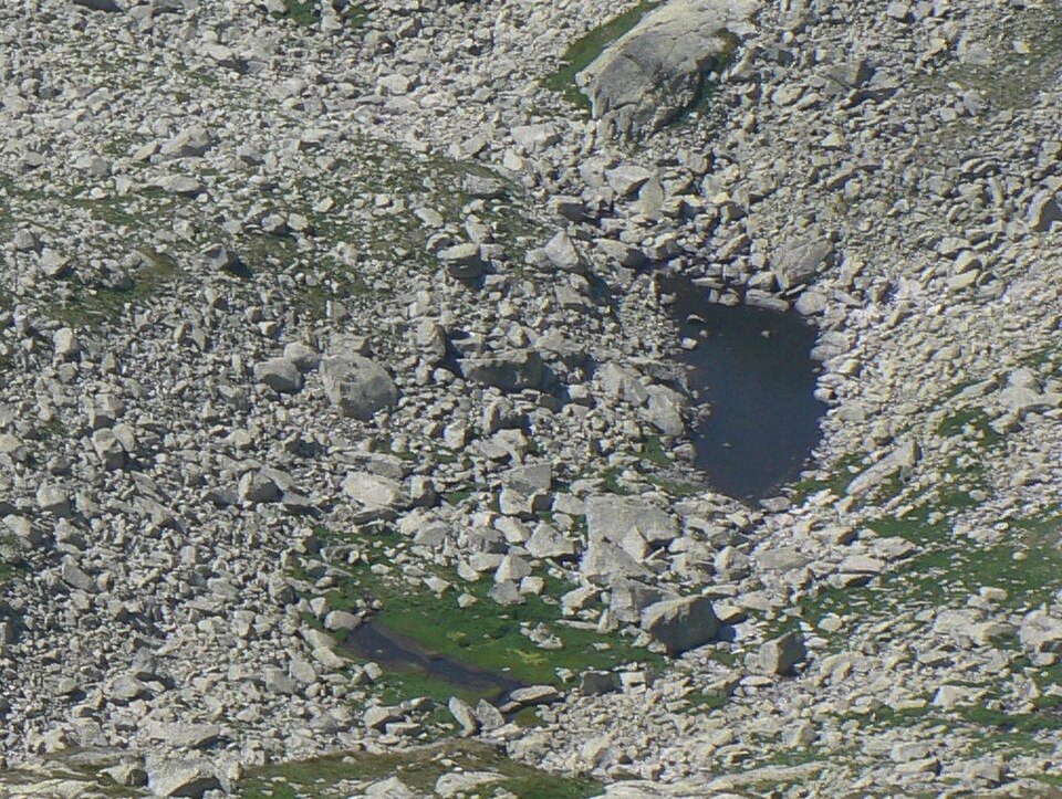Vyšné Strelecké pleso