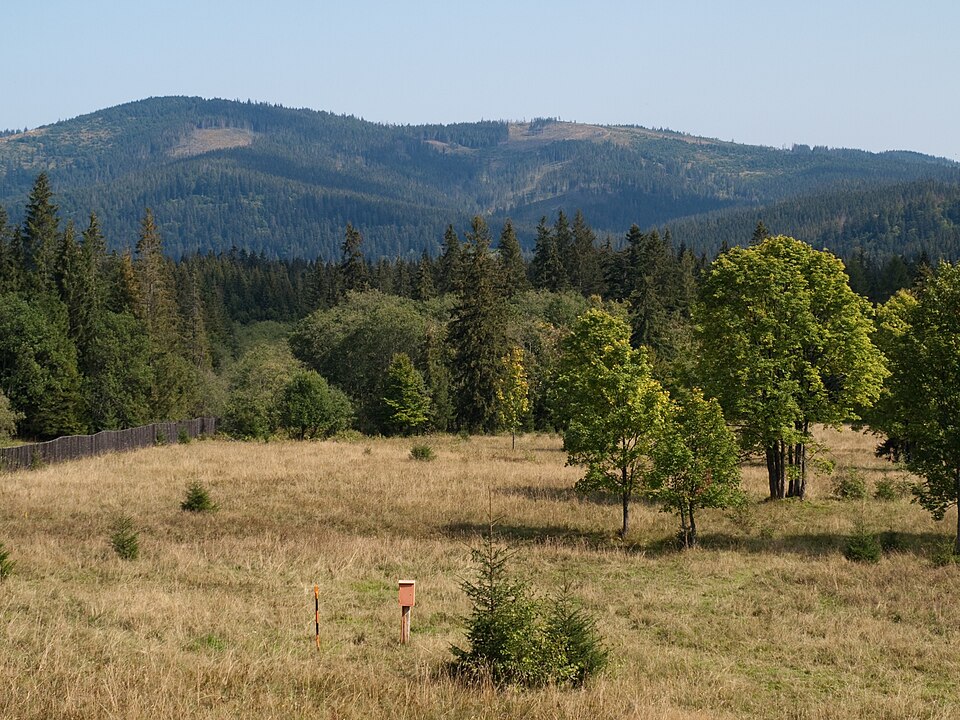 Príslop