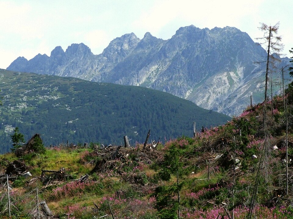 Mlynické Solisko