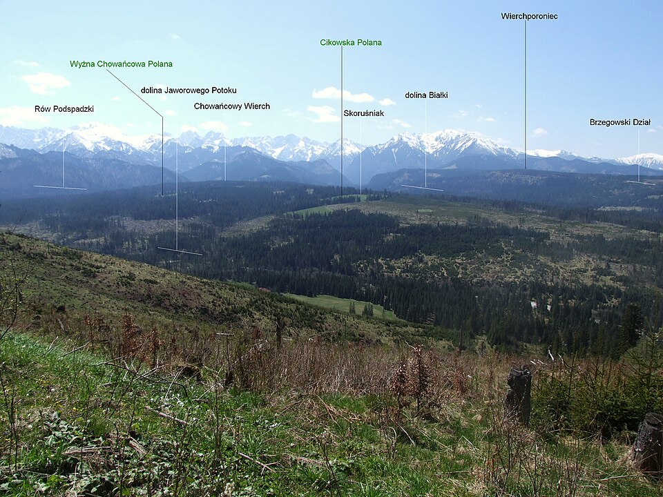 Chovancov vrch