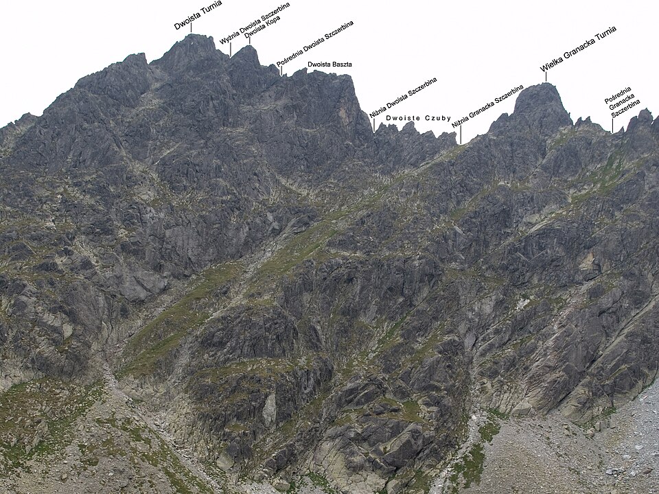 Dvojitá veža