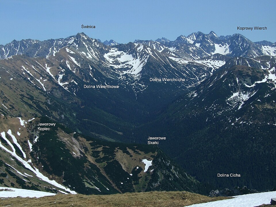 Javorová kopa