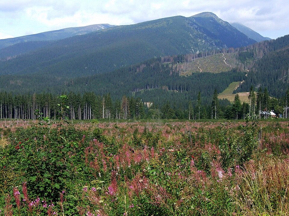 Kotlová